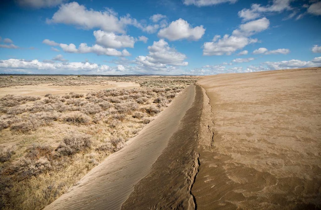 Christmas Valley Sand Dunes