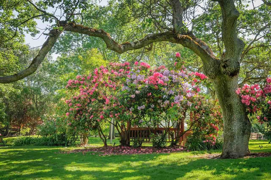 Jackson Park, Medford, Oregon