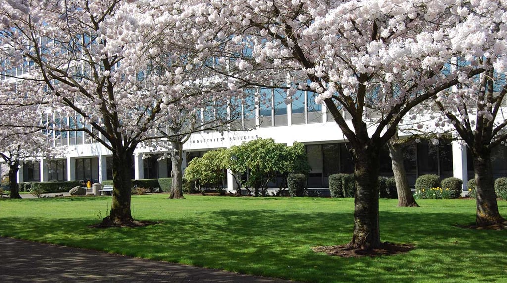 Oregon Department of Consumer and Business Services