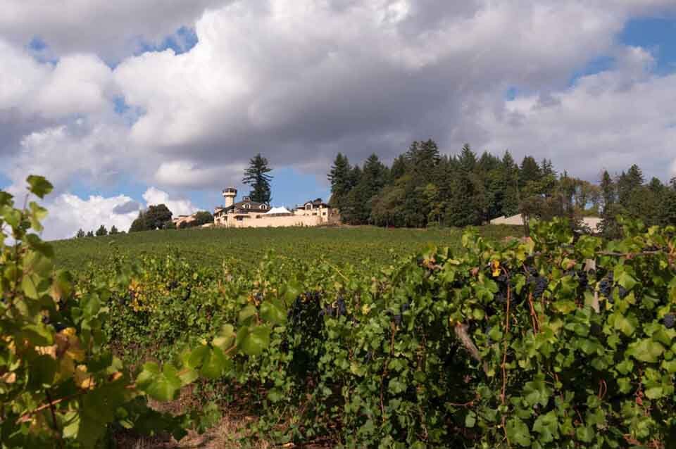 A Winery to see in Eugene Oregon