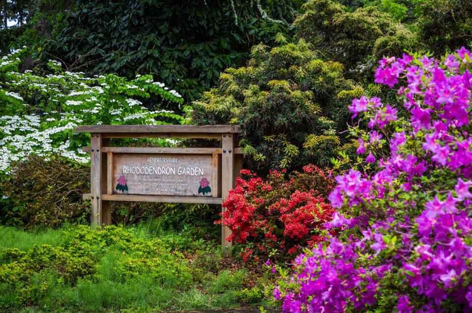Hendrick’s Park Eugene Oregon