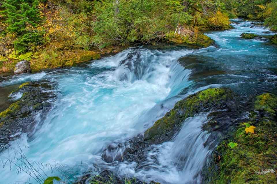 McKenzie River National Recreation Trail