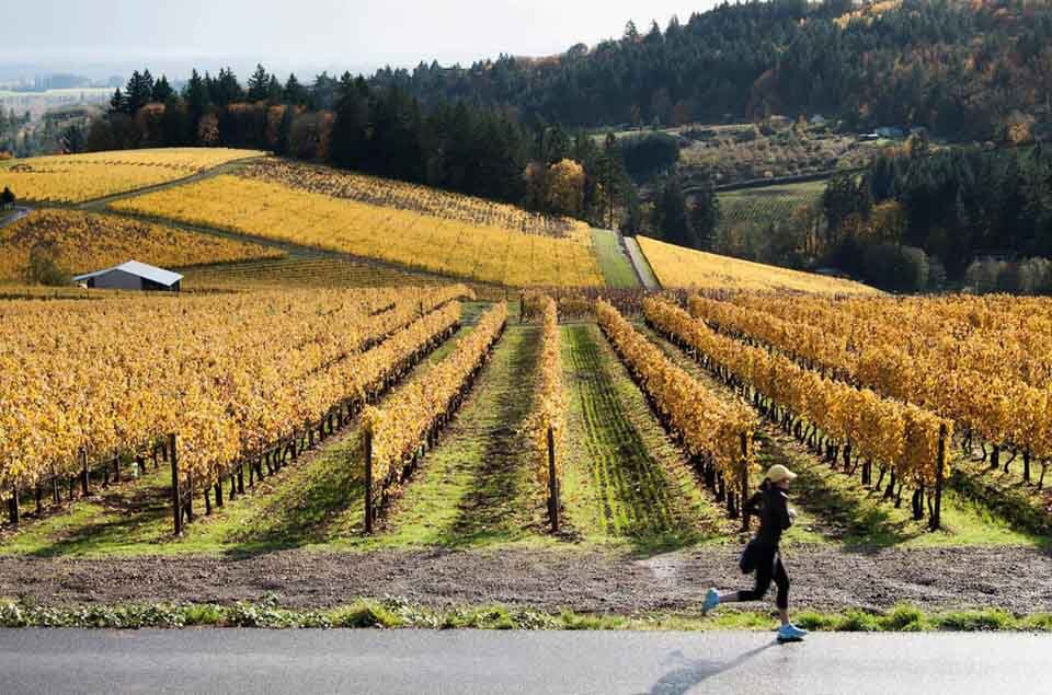 What is Oregon Known For? All the Things to Know, See, and Do, in the U