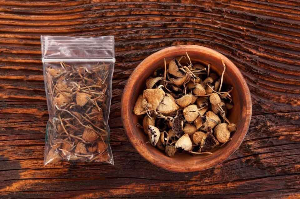 Medicinal Uses of Magic Mushrooms
