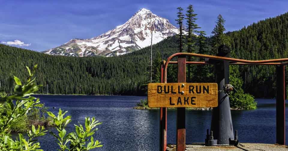 Bull Run Watershed Oregon - Detection of parasites