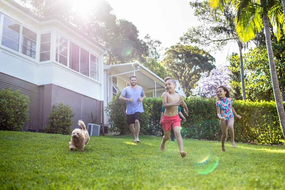 Pets and Kids during a heat wave