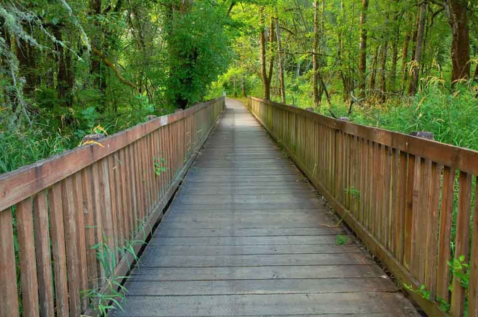 Trail bridge, Minto-Brown Island Park, Salem, Oregon