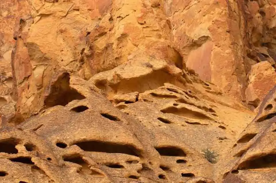 Rhyolite rock formations eroded into honeycomb shapes