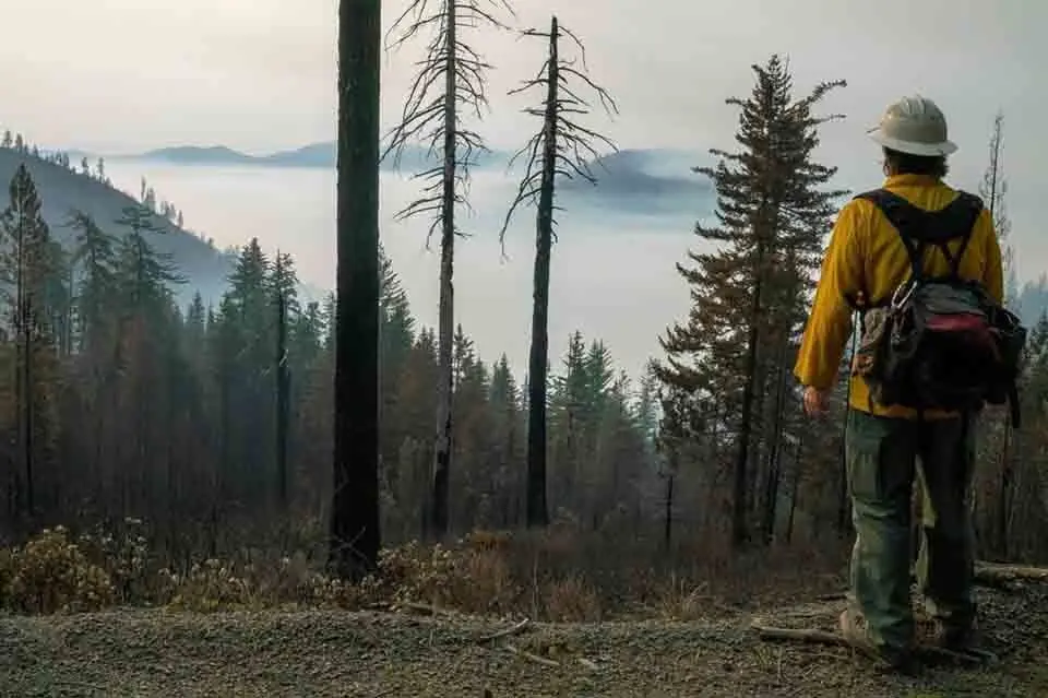 Wildfire firefighter, Southern Oregon