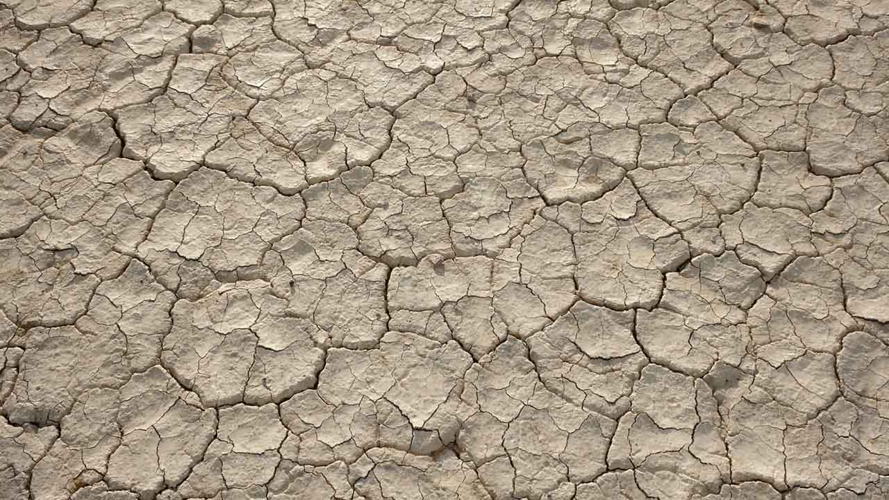 Alvord Desert Floor