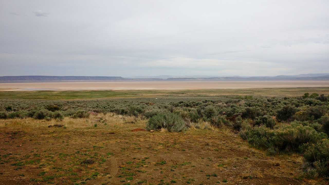 Alvord Desert