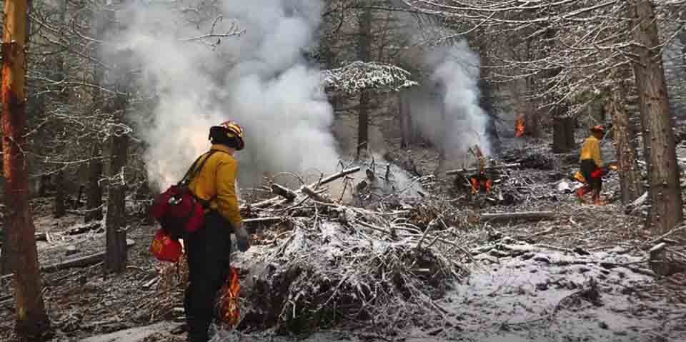 Firefighter - Ashland, Oregon