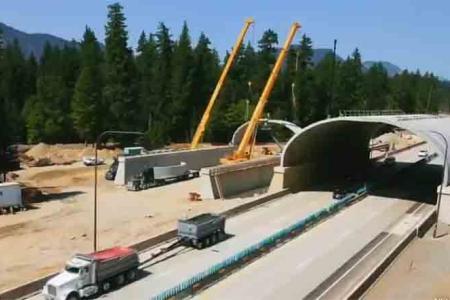 Wildlife Crossing In Southern Oregon Gets Federal Funding Boost
