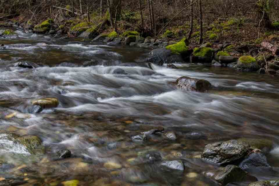 Little Applegate River
