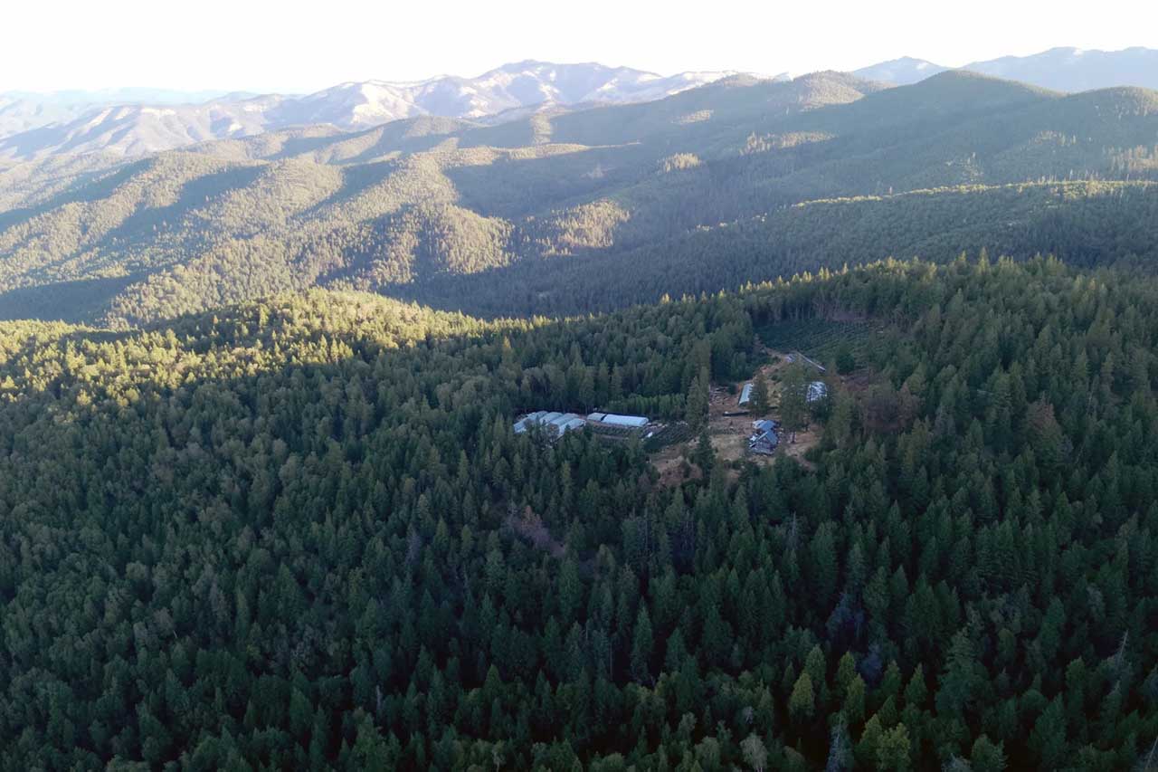 Marijuana grow site near Jacksonville, Southern Oregon
