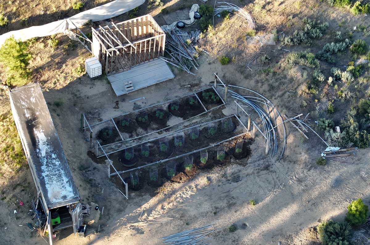 Illegal Marijuana Grow