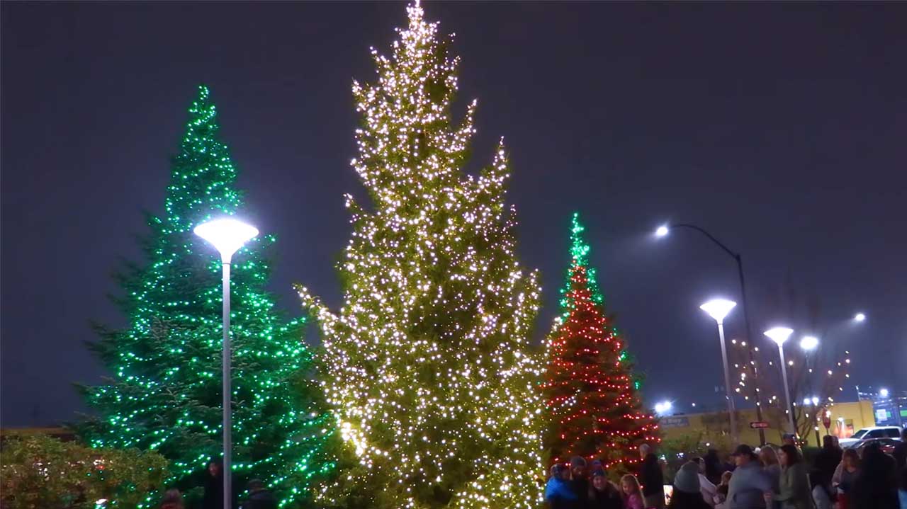 Medford’s Winter Lights Festival