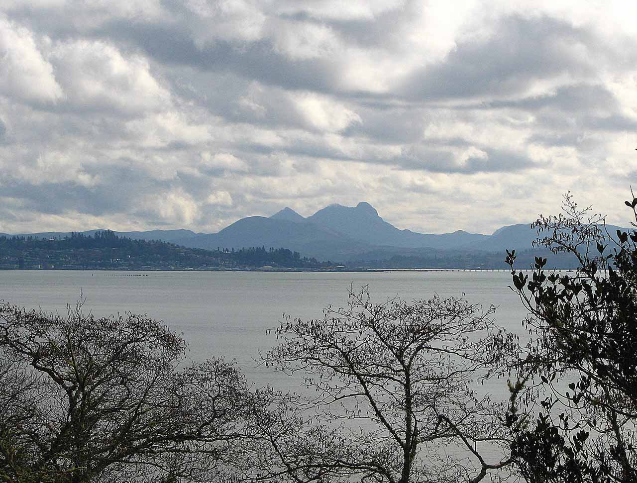 Saddle Mountain from Chinook Point