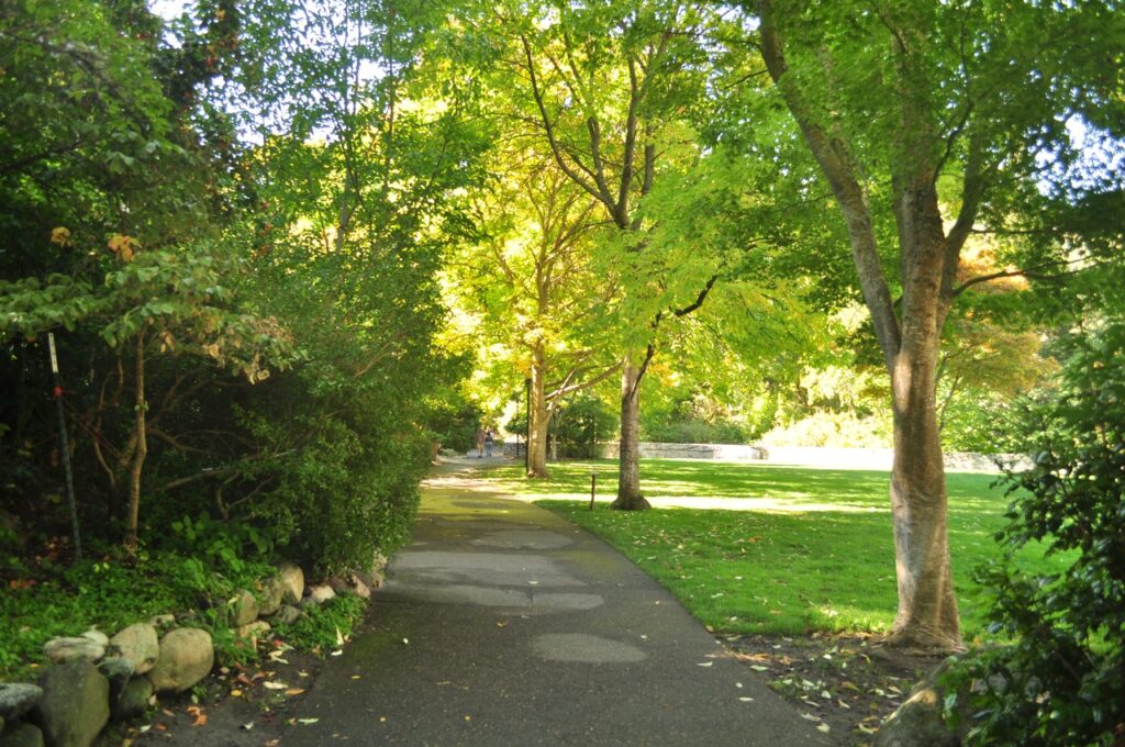 Tree-lined path and lawn in Lithia Park in Ashland